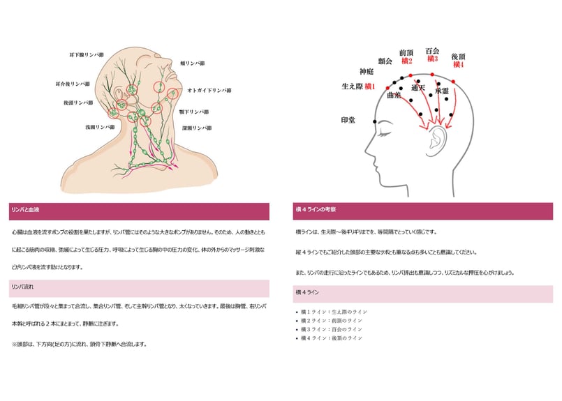 3つの特典付き】ヘッドスパの教科書セット『教科書83ページ＋①完全版