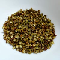 北秋田阿仁産手作り塩蔵実山椒50g | じゃんごの郷STORE