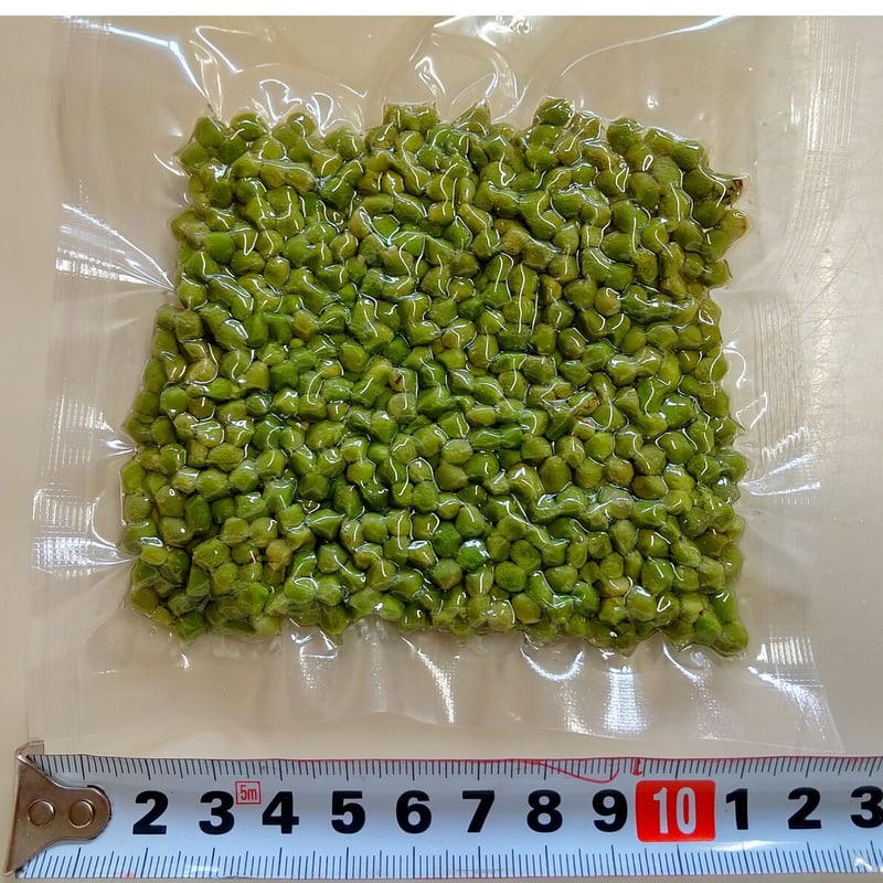 枝取りアク抜き済み！ 北秋田阿仁産手作り塩蔵実山椒50g×20パック