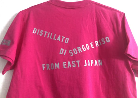 『CODELLANNI』ロゴＴシャツ（３色３サイズ）