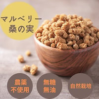 アフガンサフラン マルベリー（白）80 g｜アフガニスタン産ドライ桑の実（無添加・天日干し）