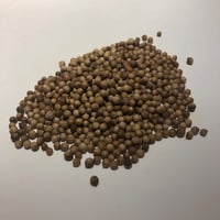 東京スパイスハウス　 コリアンダーシード　２０ｇ
