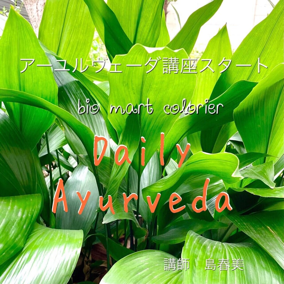 60498d02c19c4526148e5b5b