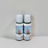 【トライアル用】リコヘナ ボタニカルシャンプー 15 mL✖️2本｜ヘナ髪に特化した植物由来シャンプー