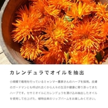 【ミヤコフードミャンマー】JADE Natural セサミリップバーム　2.５g