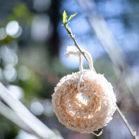 CATEGORY 日用品 | bio mart colorier ONLINE STORE