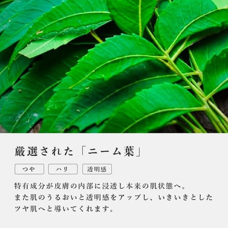 ニームリーフ美容オイル 30 mL｜インド産ニーム葉エキス＋ゴマ油ベースの全身ケアオイル