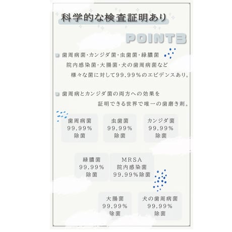 TEJAKURA SALT 山と海の歯磨きジェル 50 g｜天然成分100％・ひのき蒸留水ベース・発泡剤／研磨剤不使用