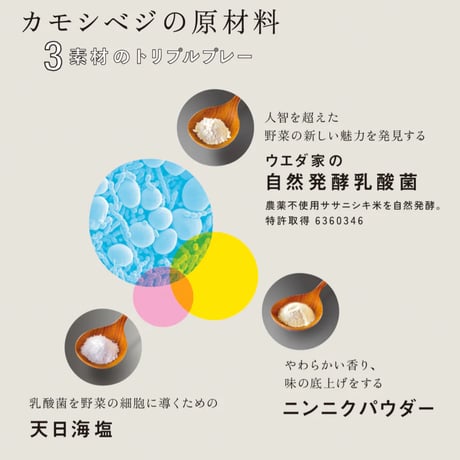 ウエダ家　カモシベジ　50ｇ