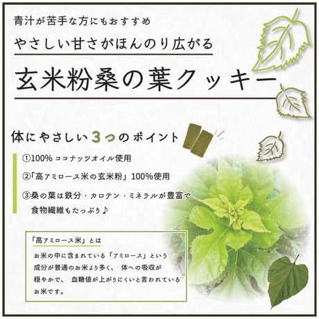 倉敷おからクッキー　玄米粉　桑の葉