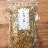 運龍堂 イチョウ葉