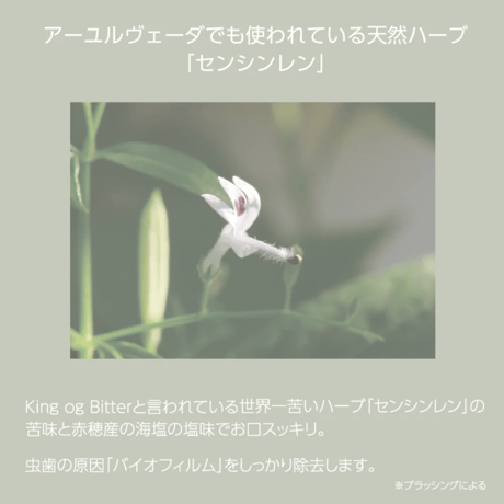 Lifetrim/ライフトリム　AGPトゥースペースト
