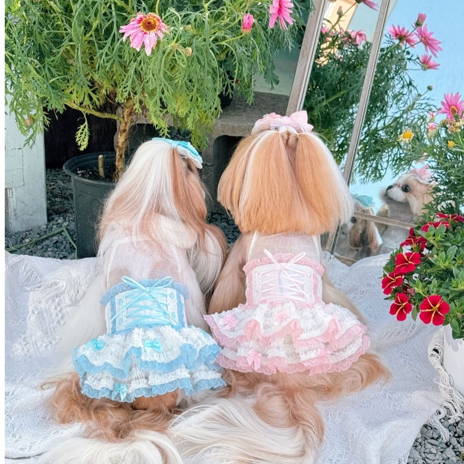 67f050809dfb09a64ae9e81b