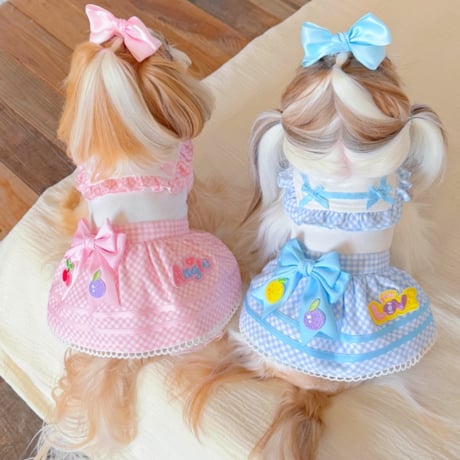 crazy for wan ペット　ドレス crazy for WAN