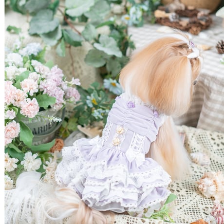 crazyforWAN】Fairy かわいらしい Princess 2着セット