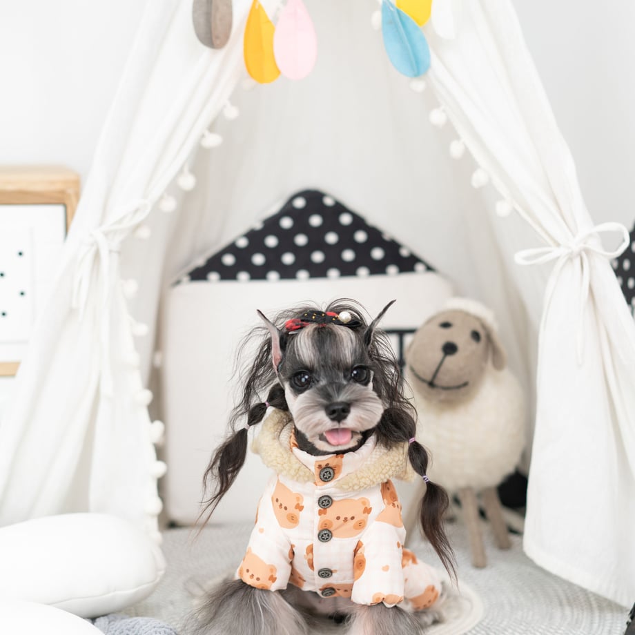 6520e7b995372906b78fb7e5