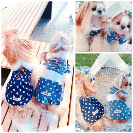 CATEGORY SALE | crazy for WAN