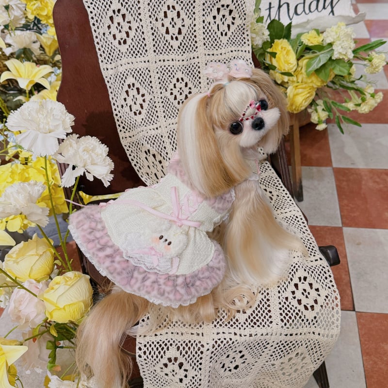 dollリボンワンピース | crazy for WAN