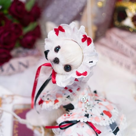 ♥️✨Alice✨♣️  ドレス／ボンネットキャップ