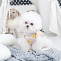 Smileベスト
