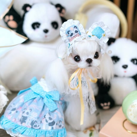 🐼✨Panda Baby✨🐼 ドレス／ヘッドドレス