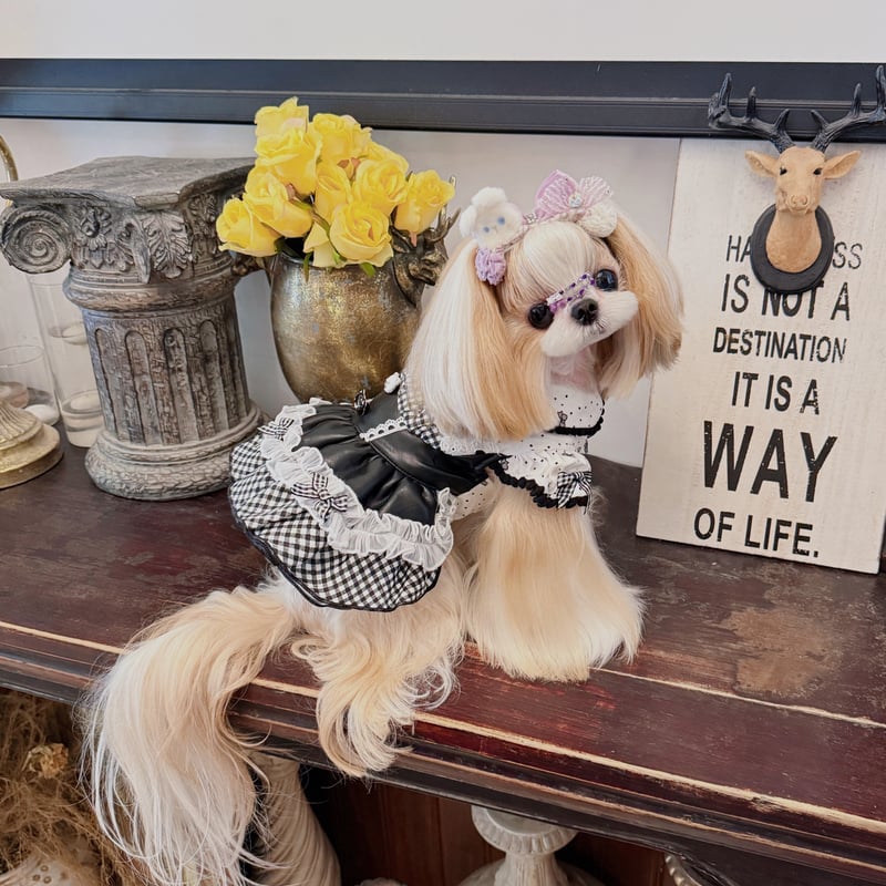 Mimiベア | crazy for WAN