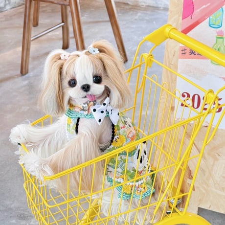 Babyパンダ