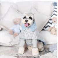 ボアポンチョ