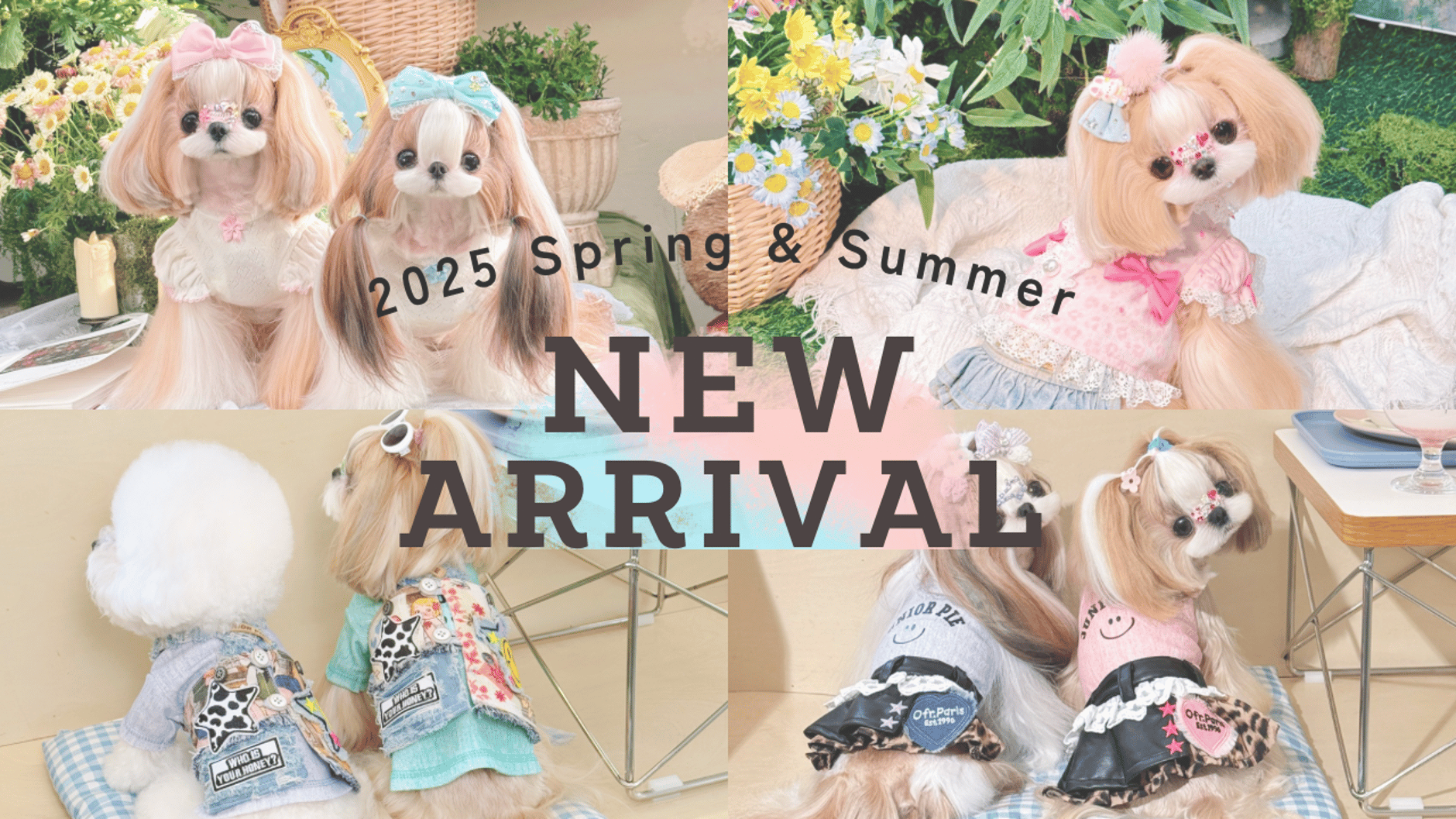 【crazyforWAN】Fairy Princess 2着セット crazyforWAN】Fairy Princess 2着セット