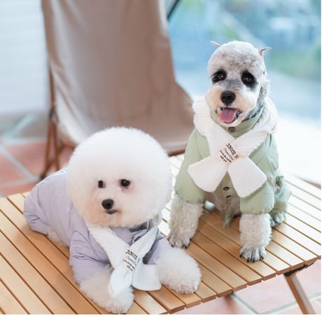 Smileダウンロンパース