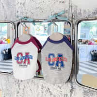ラグランレターTシャツ
