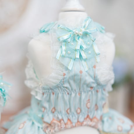 🦢✨Swan Lake✨🦢   ドレス／ヘッドドレス
