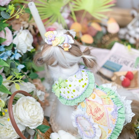 🎠✨Wonderland✨🎡  ドレス／ヘアクリップ