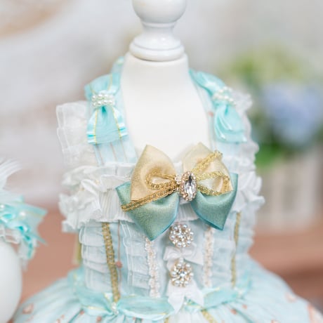 🦢✨Swan Lake✨🦢   ドレス／ヘッドドレス