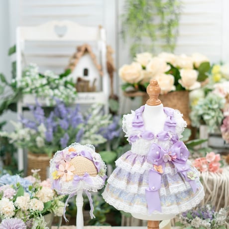 CATEGORY ドレス | crazy for WAN