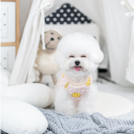 Smileベスト