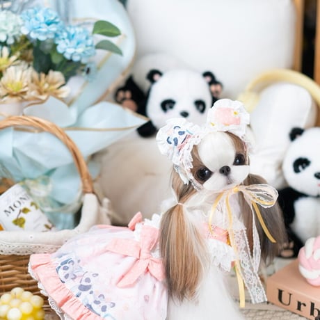 🐼✨Panda Baby✨🐼 ドレス／ヘッドドレス