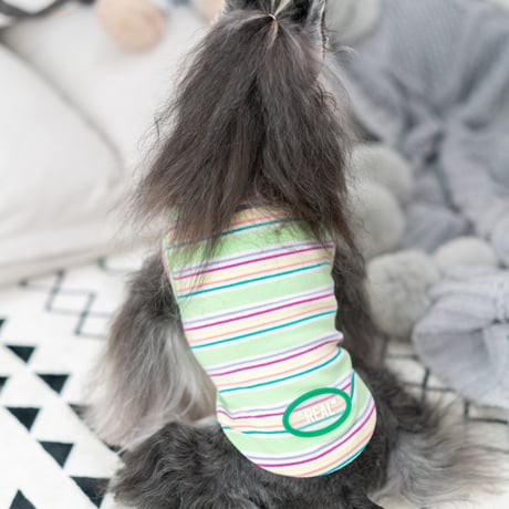 カラフルネックシャツ