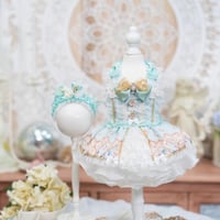 🦢✨Swan Lake✨🦢   ドレス／ヘッドドレス