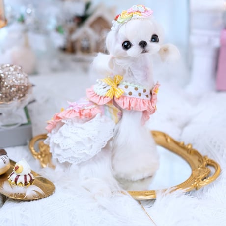 🎠✨Wonderland✨🎡  ドレス／ヘアクリップ