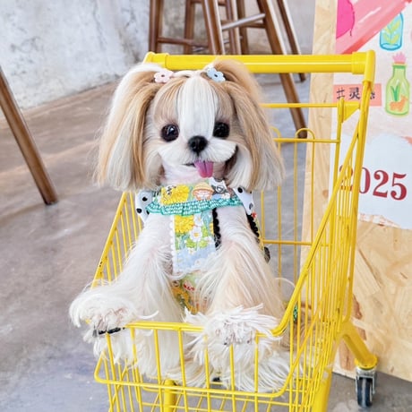 Babyパンダ