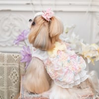 シンフォニー