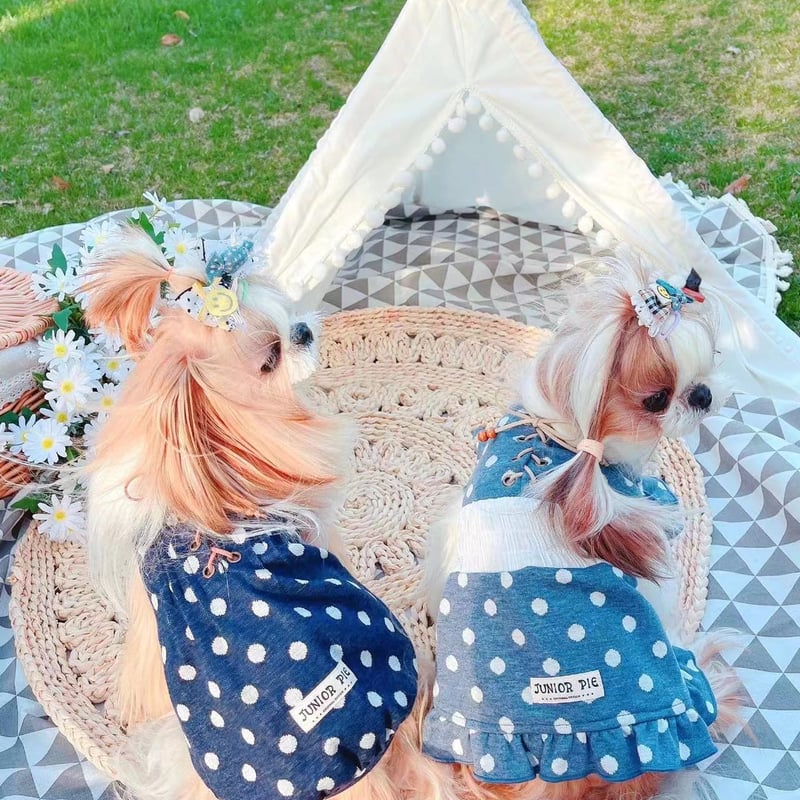 JP☘️チュニック／ワンピース | crazy for WAN