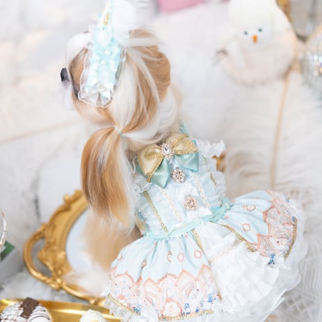 🦢✨Swan Lake✨🦢   ドレス／ヘッドドレス