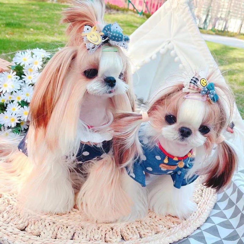 JP☘️チュニック／ワンピース | crazy for WAN