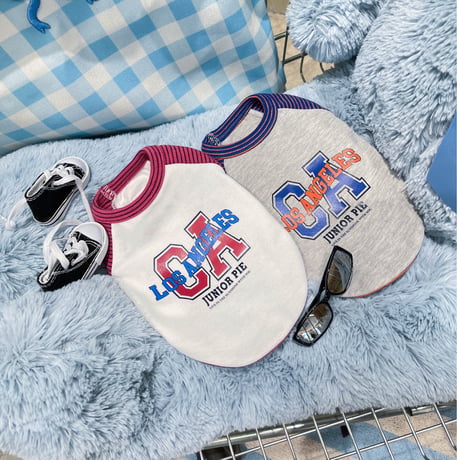 ラグランレターTシャツ