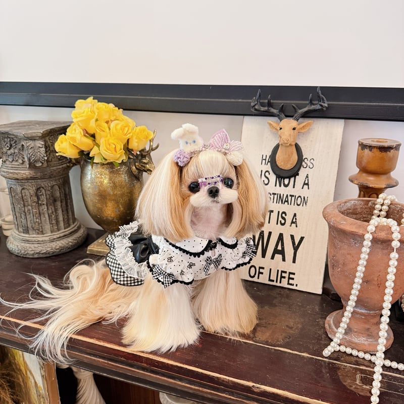 ◎Mimi様◎ Mimiベア | crazy for WAN