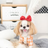 チェックセーター
