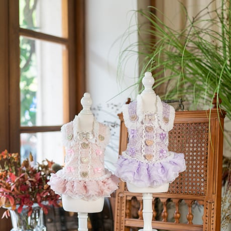 【crazyforWAN】Fairy Princess crazyforWAN】Fairy Princess