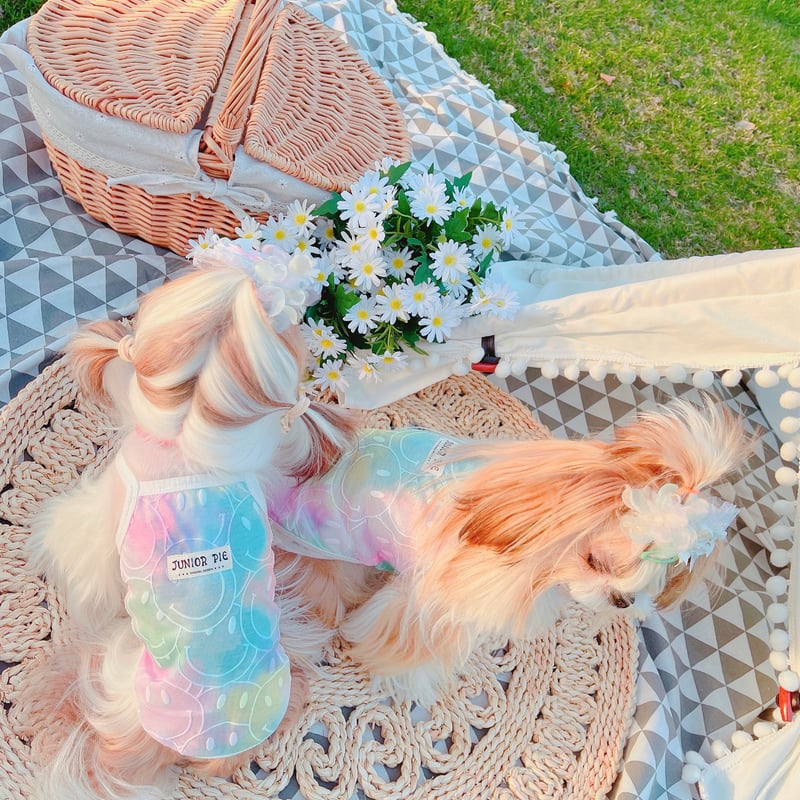 アイミースタンドエナメルキャディー アイミースタンドエナメルキャディー 楽天市場】エナメル（キャディ